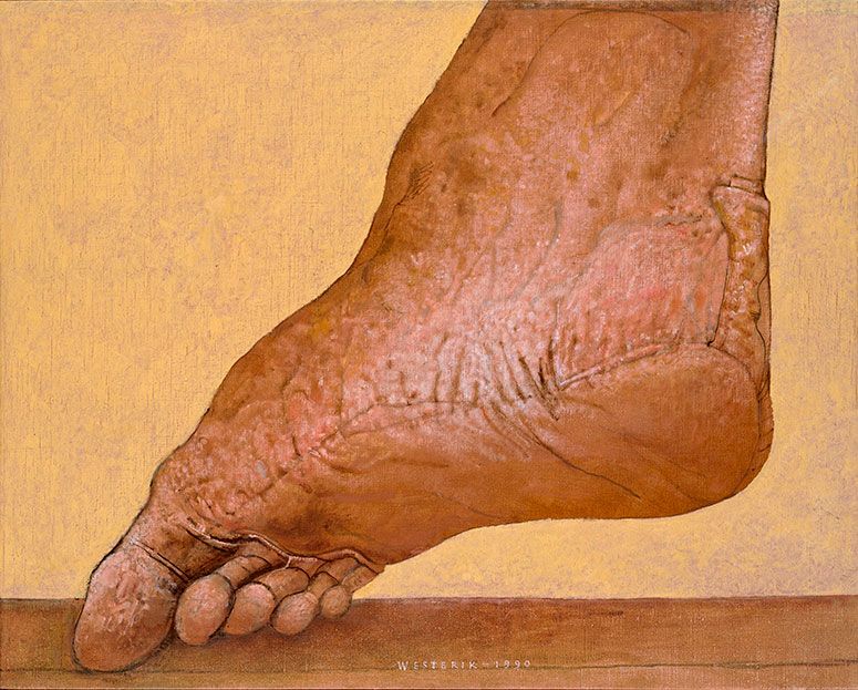 Foot